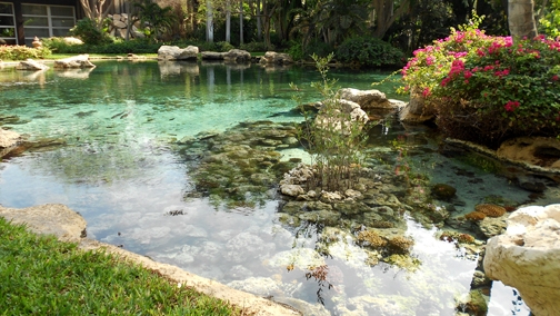 millionaire dating melbourne